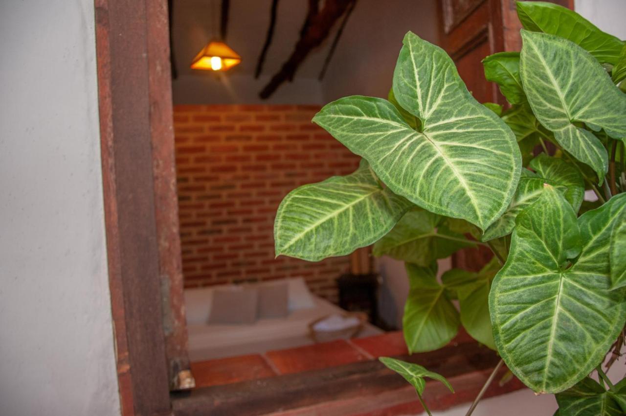 La Juanita Hostel בריצ'ארה מראה חיצוני תמונה
